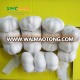 China cheap pure white garlic manufacturer