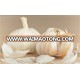 china supplier 2015 pure white garlic