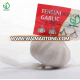 red garlic planter organic fresh garlic certified bcs