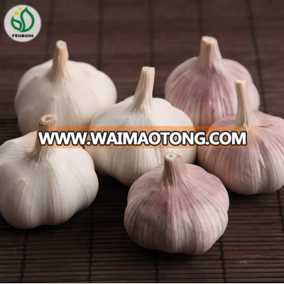 garlic pure good price china supplier garlic quotation