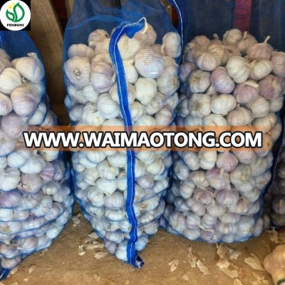 Jin Xiang normal white garlic China supplier form Jining Fenduni