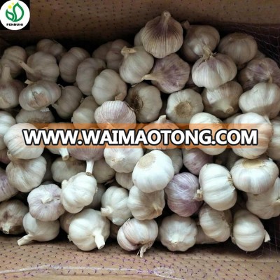 2018 'fresh white garlic good price china supplier