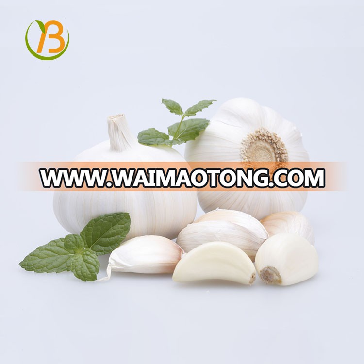 Wholesale Garlic Price per ton ginger and garlic xinfayuan garlic