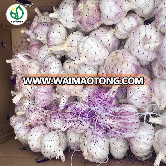 2018 'fresh white garlic good price china supplier