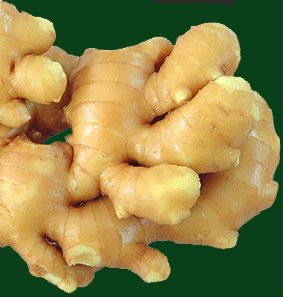 bulk fresh ginger 2018 Meet EU Standard